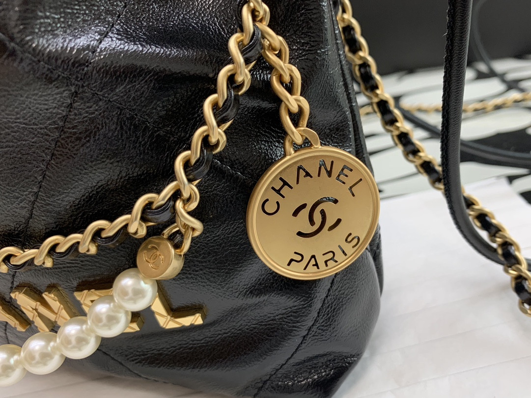 Chanle 22 Backpack Mini