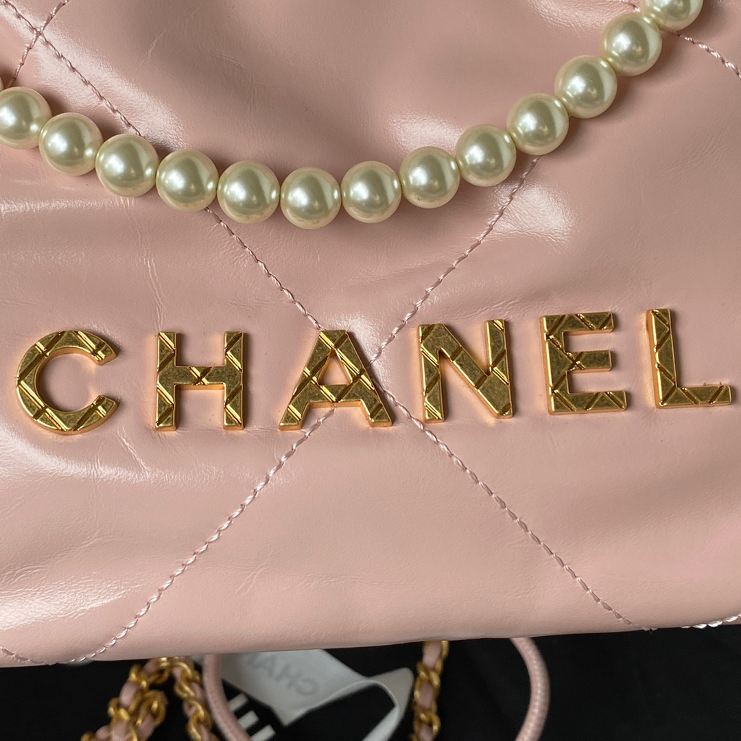 Chanle 22 Backpack Mini