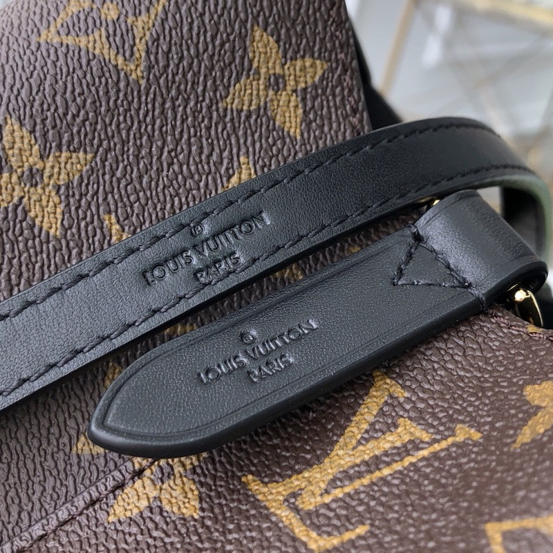 Louis Vuitton Néonoé Bag