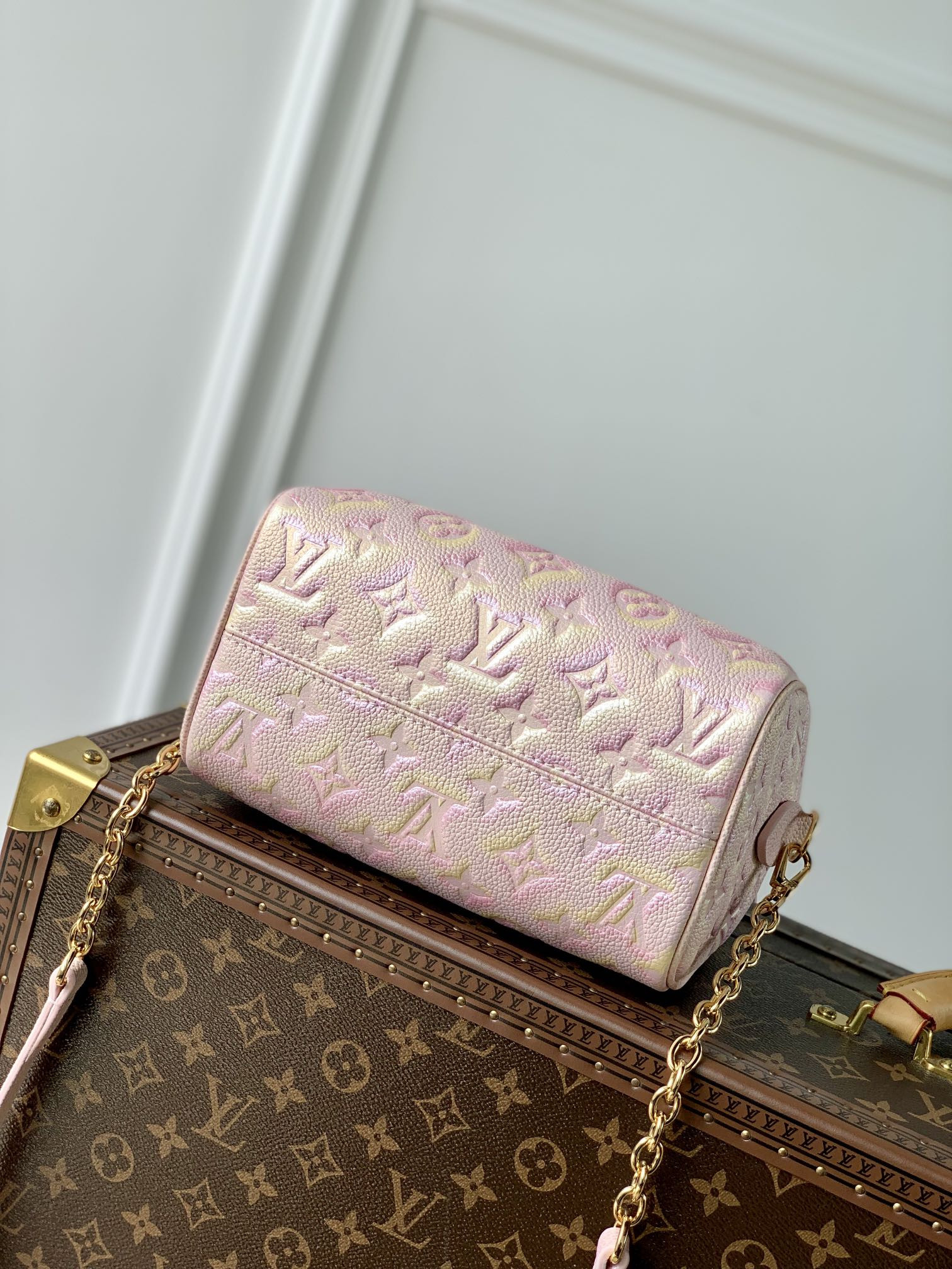 Louis Vuitton Speedy Bandoulière 20 Bag
