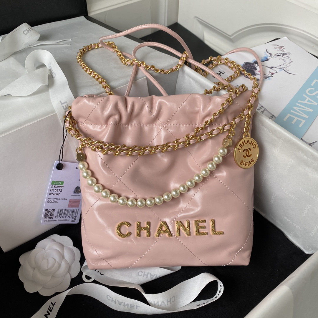 Chanle 22 Backpack Mini