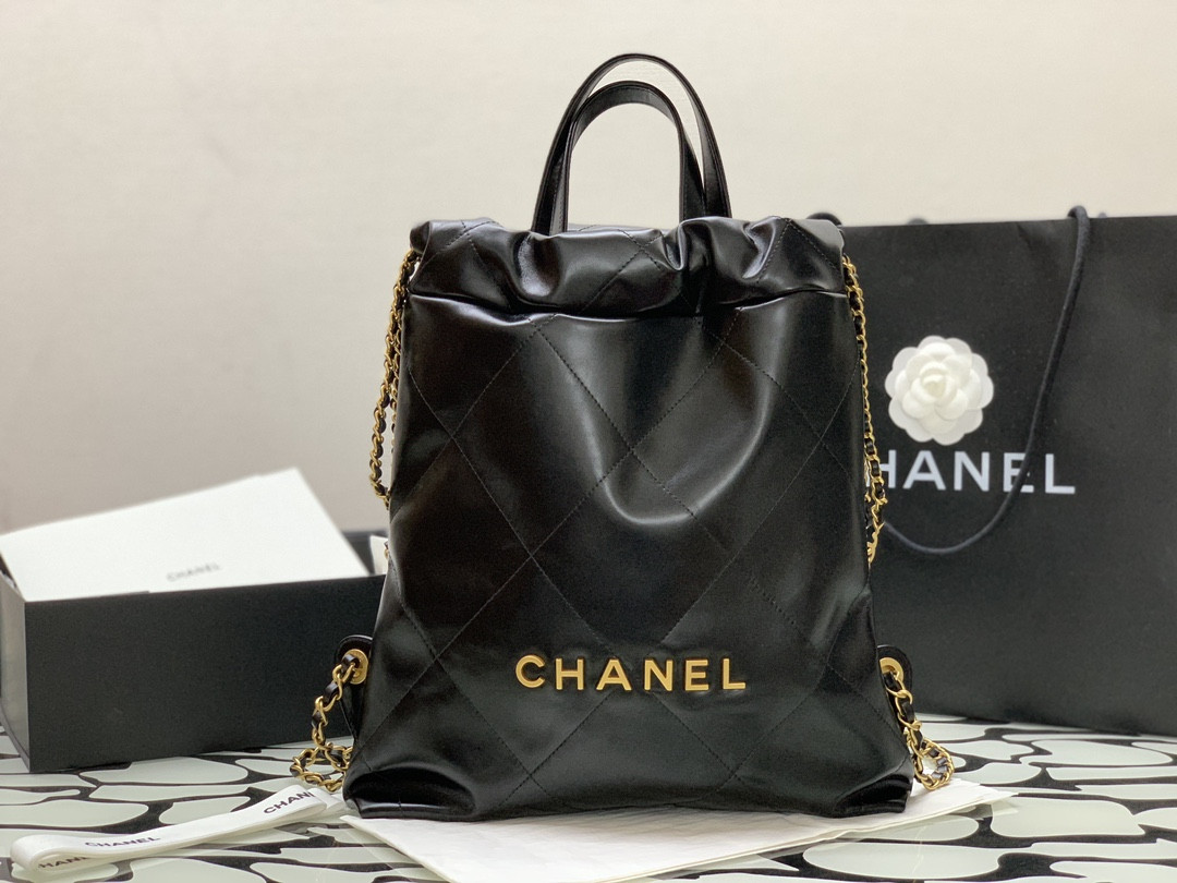 Chanle 22 Backpack