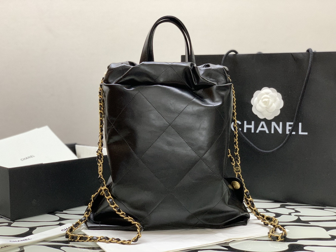 Chanle 22 Backpack