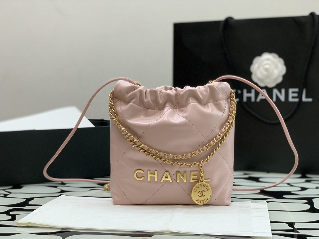 Chanle 22 Backpack Mini
