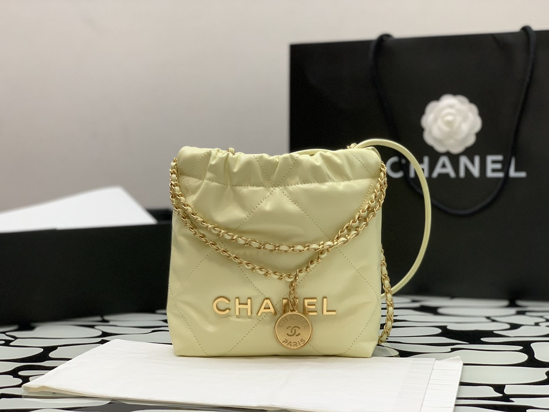 Chanle 22 Backpack Mini