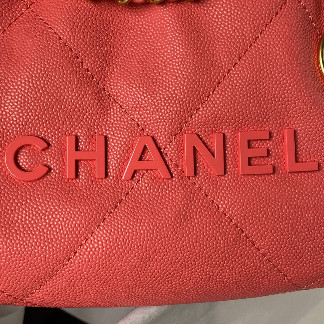 Chanle 22 Backpack Mini
