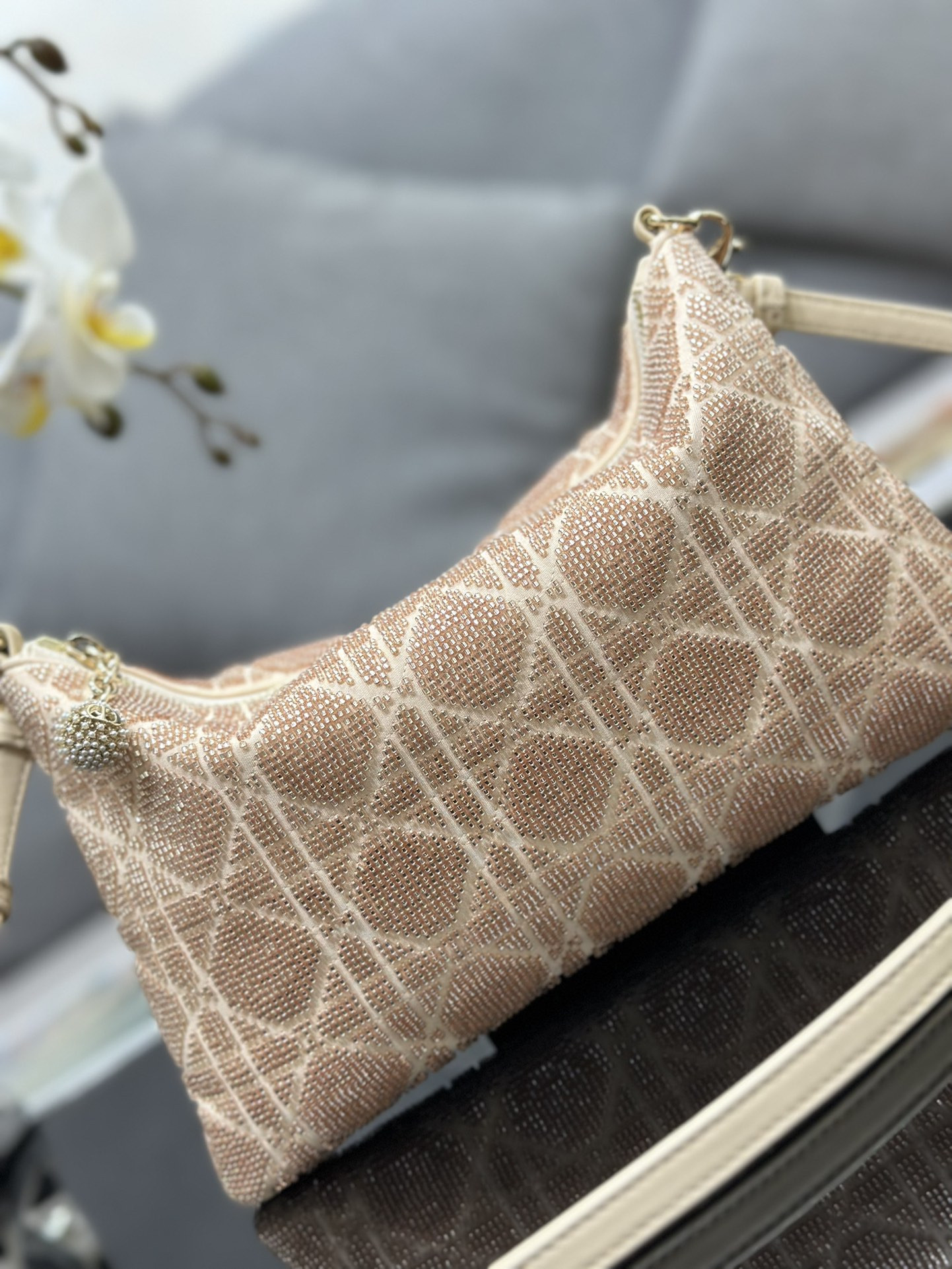 Dior Dream Bag