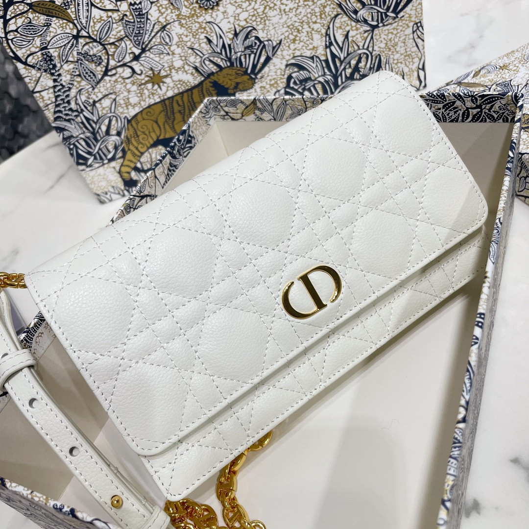 Dior Caro Pouch