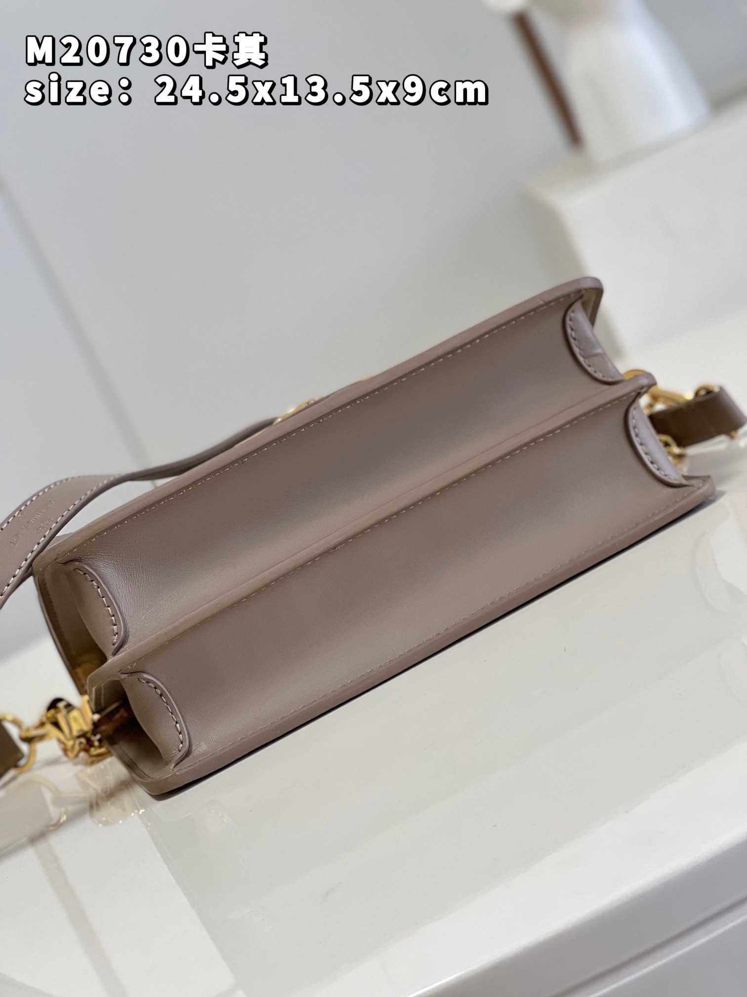 Louis Vuitton Dauphine Bag