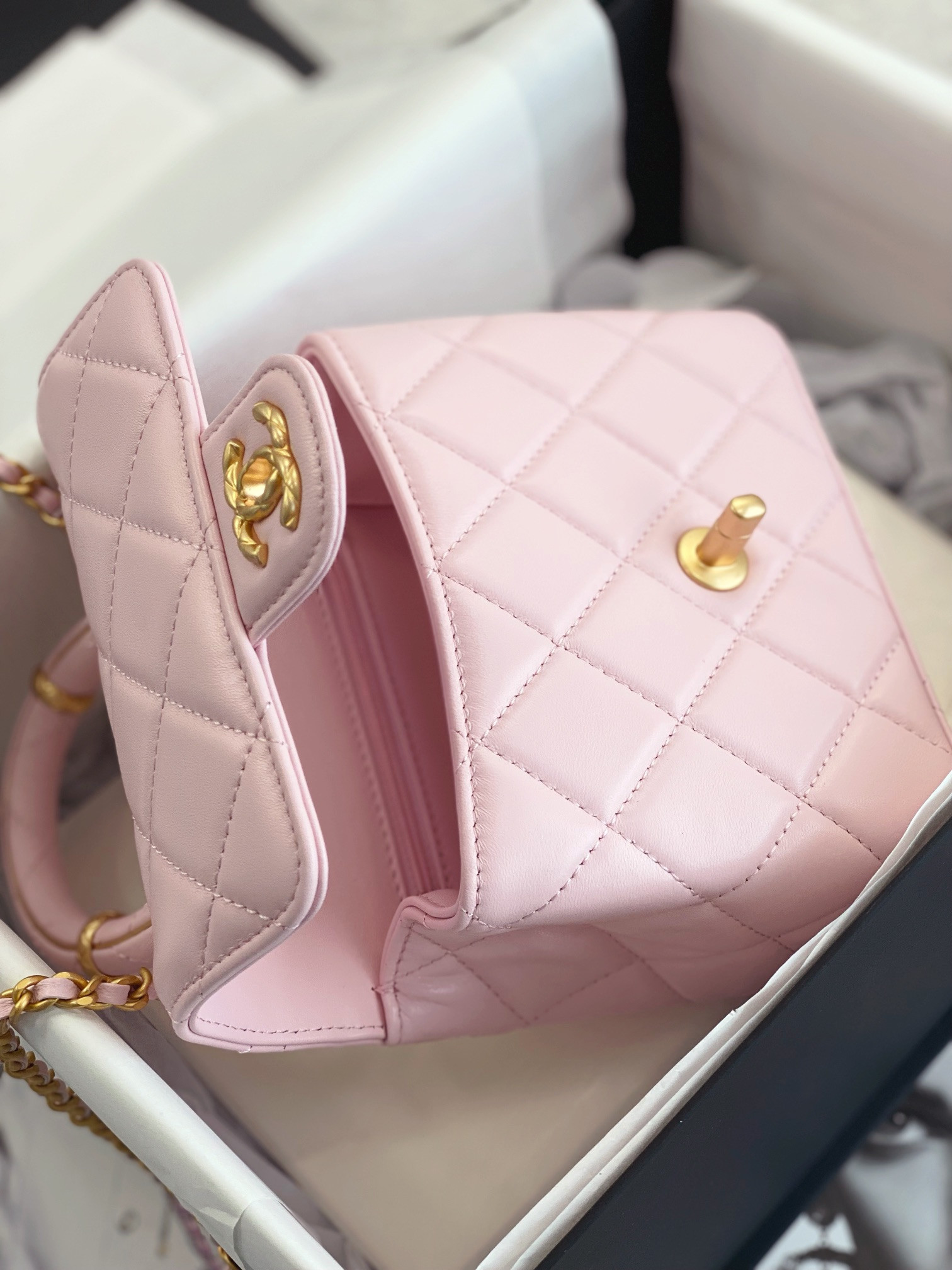 Chanle Flap Bag