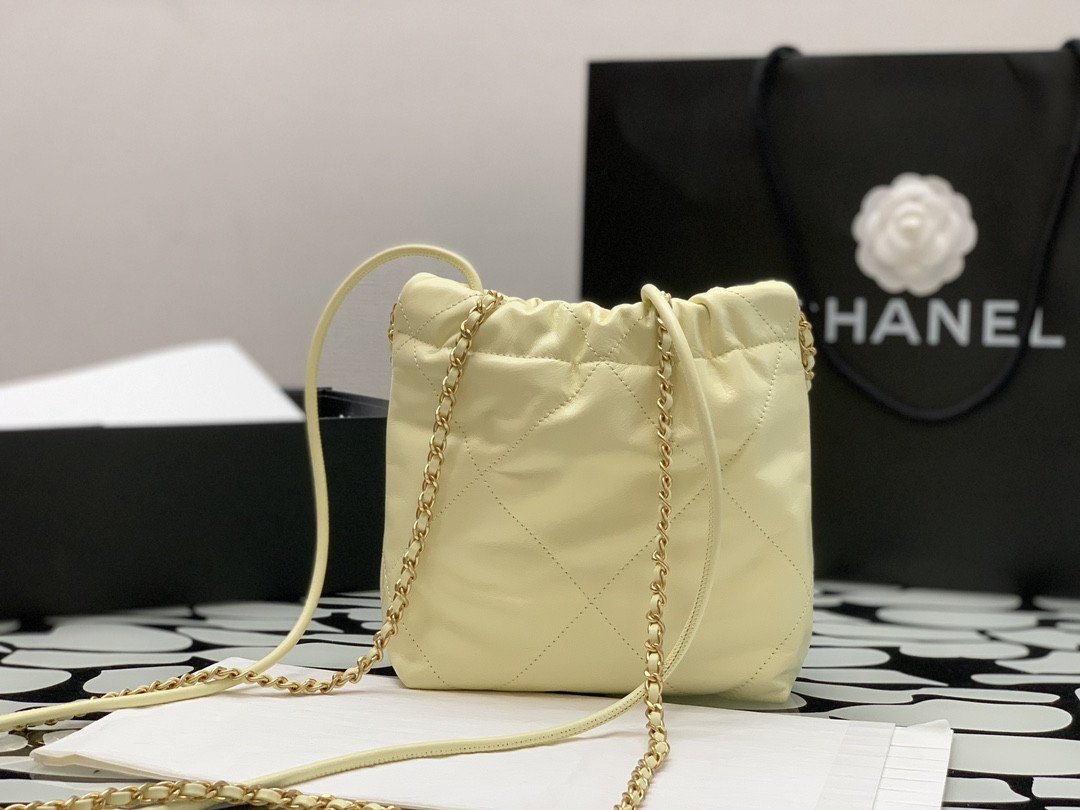 Chanle 22 Backpack Mini