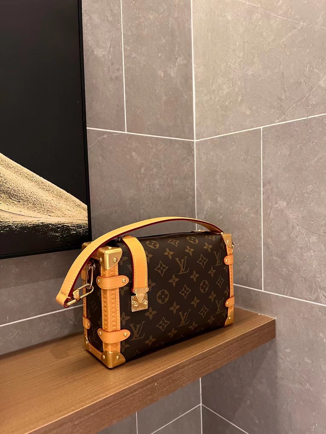 Lv Side Trunk Bag